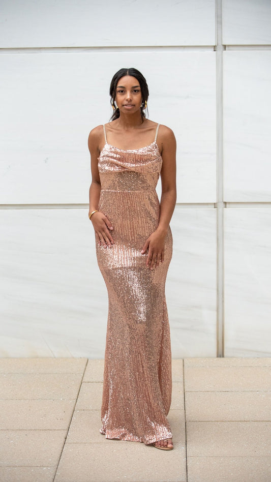 Pink Champagne Gown - Very Ashley